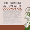 image:imageDr Teals 24 Hour Moisture Body Lotion Lavender Essential Oil 18 fl oz Pack of 3Coconut