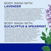 image:imageDr Teals Body Wash with Pure Epsom Salt Soothe amp Sleep with Lavender 24 fl oz Pack of 224 Fl Oz Pack of 2