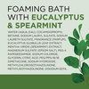 image:imageDr Teals Foaming Bath with Pure Epsom Salt Lavender amp Eucalyptus 34 fl oz Pack of 234 Fl Oz Pack of 2
