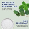 image:imageDr Teals Pure Epsom Salt Body Scrub Soothe amp Sleep with Lavender Essential Oils 16 oz Pack of 3Eucalyptus  Spearmint