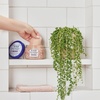 image:imageDr Teals Pure Epsom Salt Body Scrub Soothe amp Sleep with Lavender Essential Oils 16 oz Pack of 3Pink Himalayan Salt