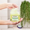 image:imageDr Teals Shea Sugar Scrub Lavender Essential Oils 19 oz Pack of 3Ceramides  Avocado Essential Oil