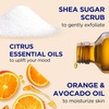 image:imageDr Teals Shea Sugar Scrub Lavender Essential Oils 19 oz Pack of 3Citrus with Essential Oils  Vitamin C