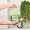 image:imageDr Teals Shea Sugar Scrub Lavender Essential Oils 19 oz Pack of 3Eucalyptus  Spearmint with Essential Oils