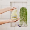 image:imageDr Teals Shea Sugar Scrub Lavender Essential Oils 19 oz Pack of 3Lemon Balm with Prebiotics