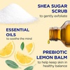 image:imageDr Teals Shea Sugar Scrub Lavender Essential Oils 19 oz Pack of 3Lemon Balm with Prebiotics