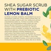 image:imageDr Teals Shea Sugar Scrub Lavender Essential Oils 19 oz Pack of 3Lemon Balm with Prebiotics