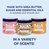 image:imageDr Teals Shea Sugar Scrub Lavender Essential Oils 19 oz Pack of 3Rose  Shea Butter  Citrus