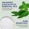 image:imageDr Teals Body Wash with Pure Epsom Salt Relax amp Relief with Eucalyptus amp Spearmint 24 fl oz Pack of 4Eucalyptus  Spearmint