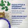 image:imageDr Teals Pure Epsom Salt Relax amp Relief with Eucalyptus and Spearmint 3 lb Pack of 4
