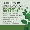 image:imageDr Teals Pure Epsom Salt Relax amp Relief with Eucalyptus and Spearmint 3 lb Pack of 4