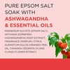 image:imageDr Teals Epsom Salt Magnesium Soak Ashwagandha amp Essential Oils 3 lbs Pack of 4