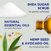 image:imageDr Teals Shea Sugar Body Scrub Black Elderberry with Essential Oils 19 oz Pack of 3Cannabis Sativa Hemp Seed Oil with Essential Oils
