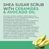 image:imageDr Teals Shea Sugar Body Scrub Black Elderberry with Essential Oils 19 oz Pack of 3Ceramides  Avocado Essential Oil