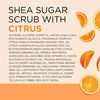 image:imageDr Teals Shea Sugar Body Scrub Black Elderberry with Essential Oils 19 oz Pack of 3Citrus with Essential Oils  Vitamin C
