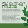image:imageDr Teals Shea Sugar Body Scrub Black Elderberry with Essential Oils 19 oz Pack of 3Eucalyptus  Spearmint with Essential Oils