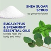 image:imageDr Teals Shea Sugar Body Scrub Black Elderberry with Essential Oils 19 oz Pack of 3Eucalyptus  Spearmint with Essential Oils