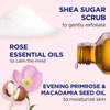 image:imageDr Teals Shea Sugar Body Scrub Black Elderberry with Essential Oils 19 oz Pack of 3Rose with Essential Oil