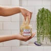 image:imageDr Teals Shea Sugar Body Scrub Black Elderberry with Essential Oils 19 oz Pack of 3Shea Butter with Almond Oil  Essential Oils